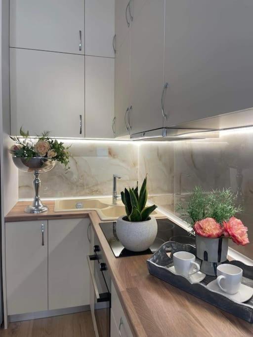 Cozy Studio Στο Κεντρο Yenişehir Dış mekan fotoğraf